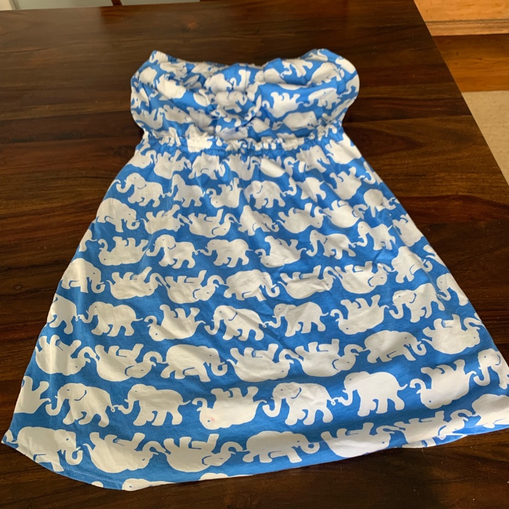 Lily strapless sun dress